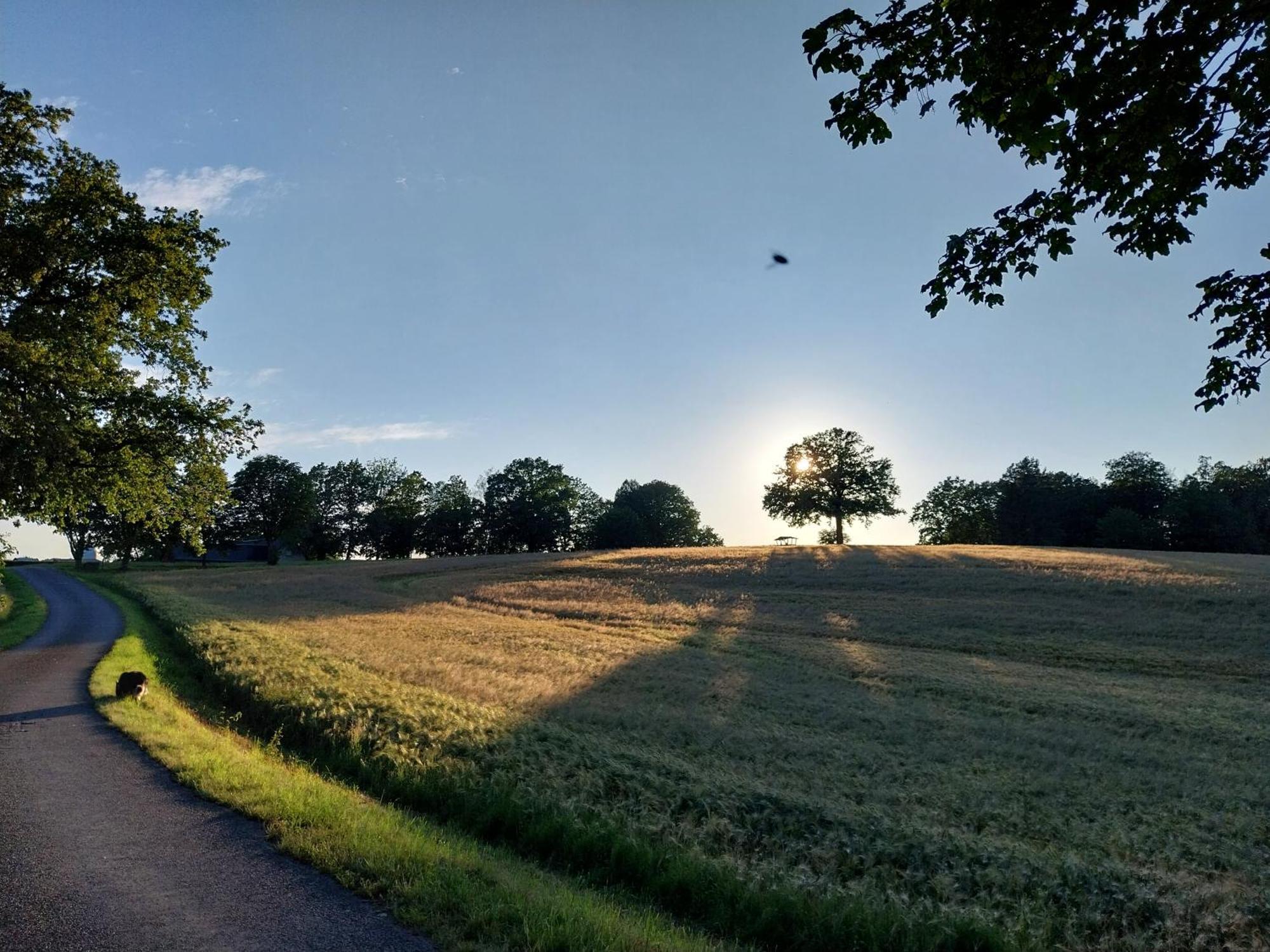 Ferienwohnung - Landhotel Waldschloesschen Sohland an der Spree Esterno foto